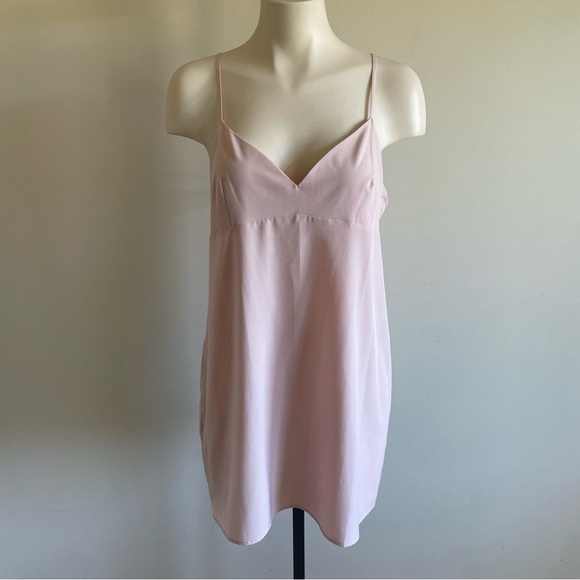 BCBGMaxAzria Diane Lace Mini Dress Pastel Pink Oversized With Slip Size Medium - Picture 5 of 16